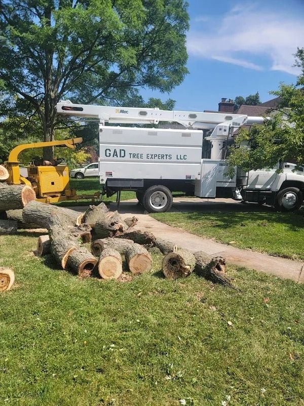 Tree removal equipment with logs on grass. A white truck with a lift, and a yellow chipper.