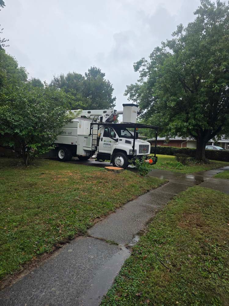 White utility truck parked on grass, next to sidewalk. Tree branches visible, cloudy sky overhead.