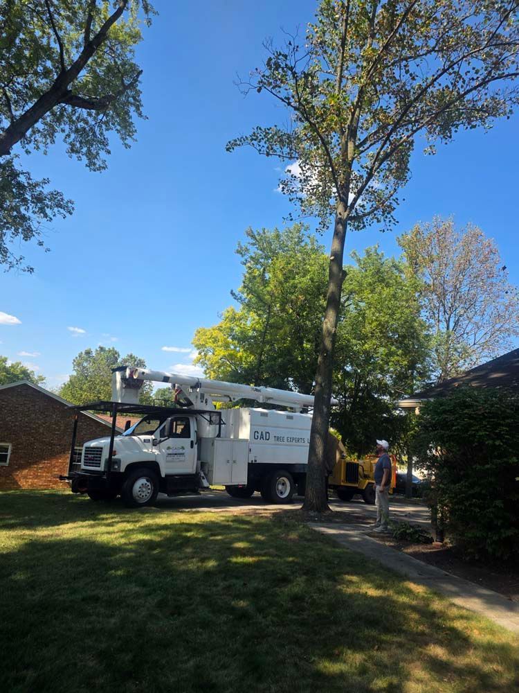 A tree service truck and worker pruning a tree on a sunny day.