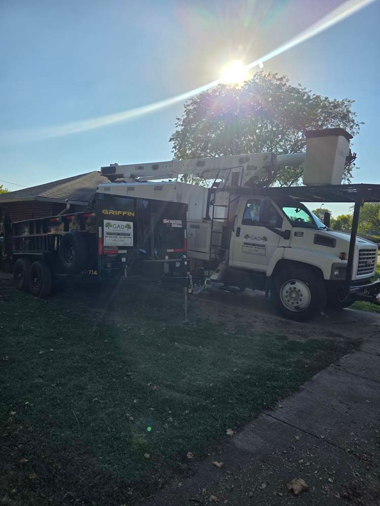 Tree service truck parked on a driveway on a sunny day.