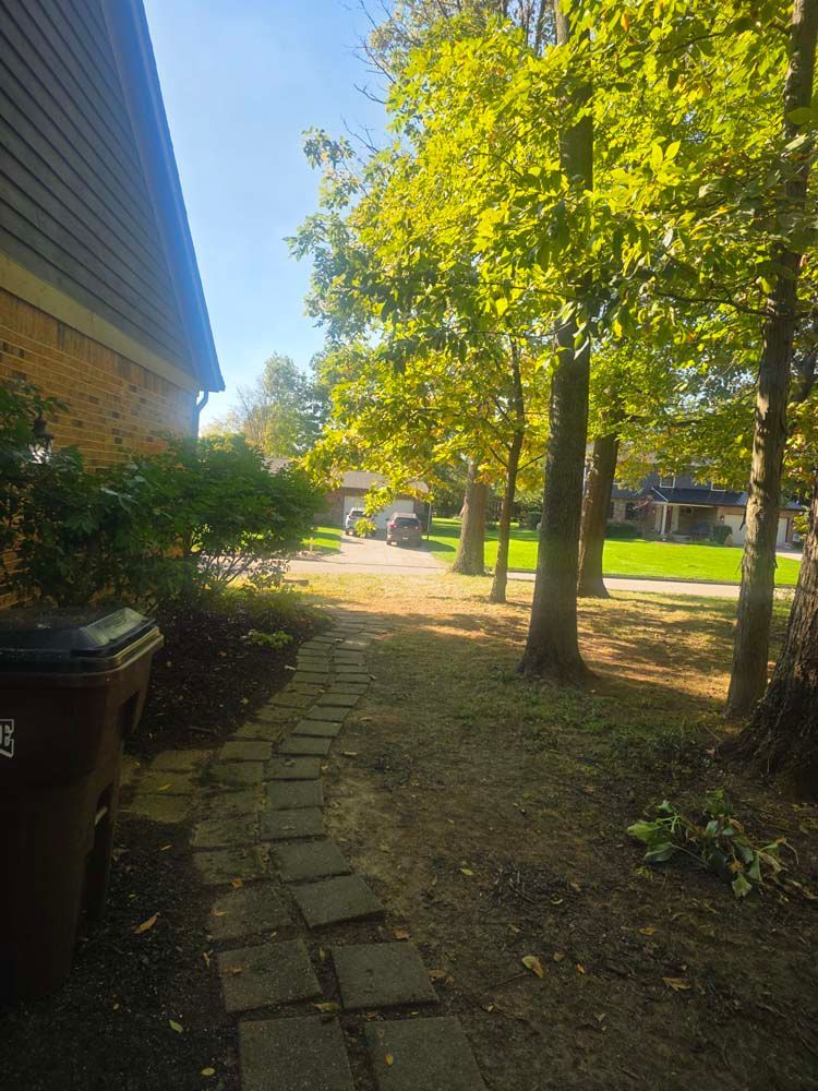 Stone path leads to a sunny yard lined with trees and a brick house. A trash bin is in the foreground.