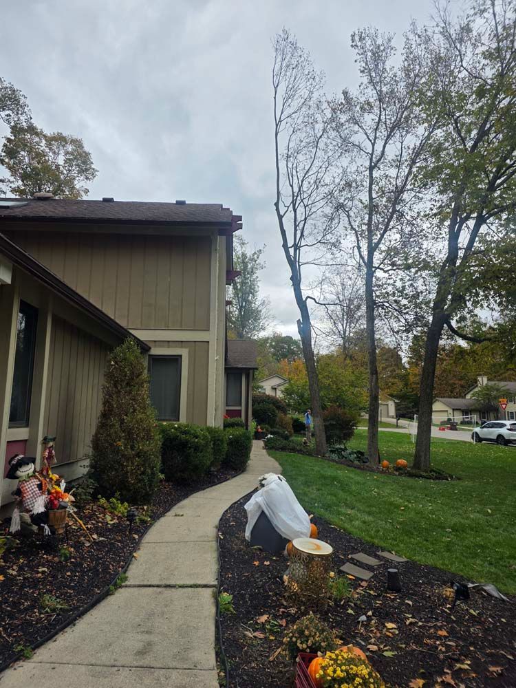 A house with a curved sidewalk, Halloween decorations, and bare trees under an overcast sky.