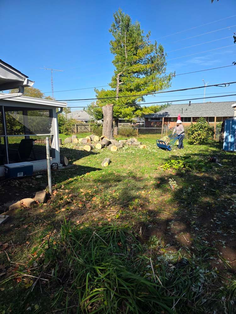 Backyard with cut tree stump, logs, person using a machine, blue sky.