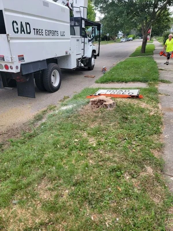 Tree stump grinding, GAD Tree Experts truck on a residential street. A worker stands nearby.