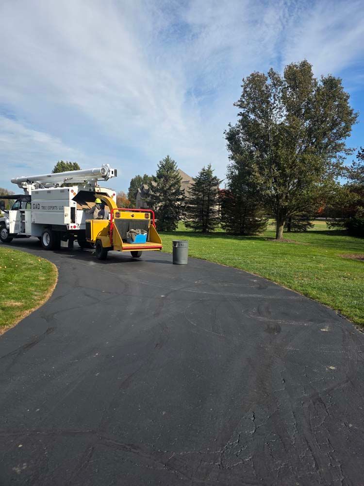 Tree service truck on a driveway, with a chipper and a raised platform against a grassy area under a blue sky.