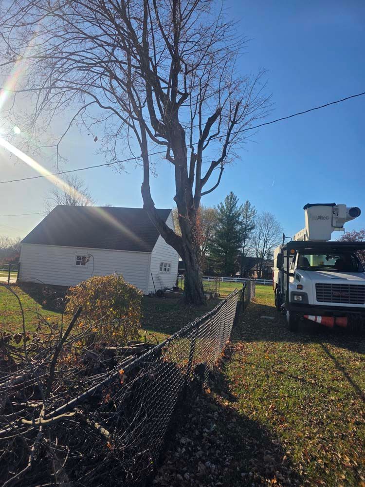 A utility truck near a tree next to a white building. The sky is blue.