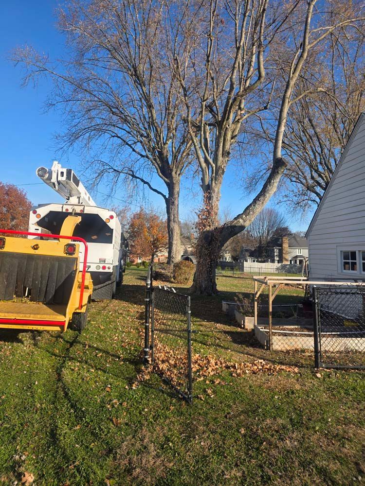 Tree trimming service: bucket truck and chipper next to bare trees in a residential yard. Blue sky.