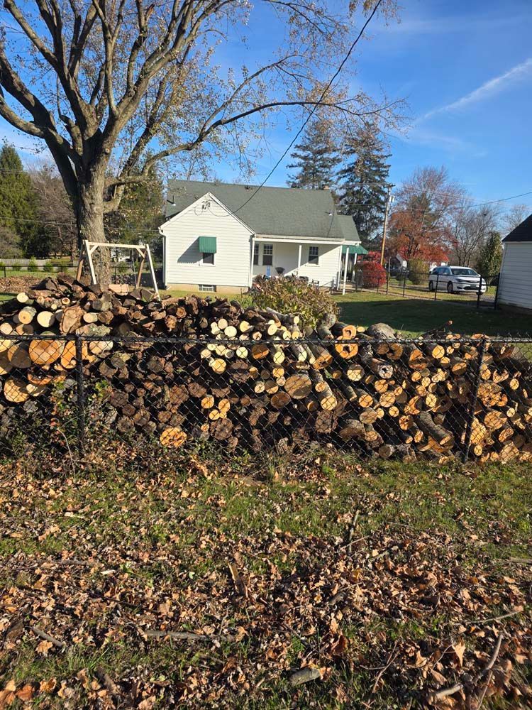 Pile of firewood in a yard, small white house in the background on a sunny day.
