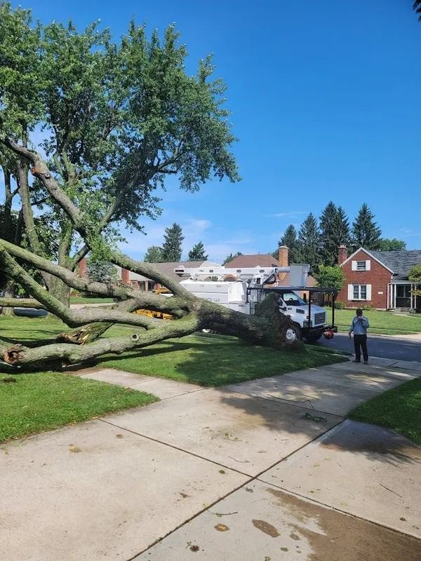 Fallen tree branch across a sidewalk with a tree service truck and a person standing nearby on a sunny day.