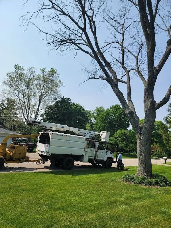 Tree service truck parked on a lawn, worker near tree, branches removed. Sunny day.