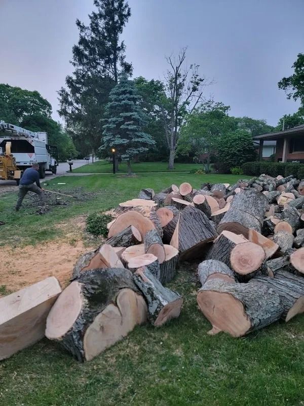 Logs on a lawn, man working, utility truck, houses, trees in a neighborhood setting under an overcast sky.