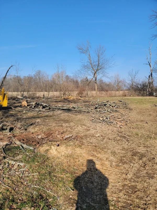 Shadow of person on brown field, with tree stumps and branches in the background under blue sky.