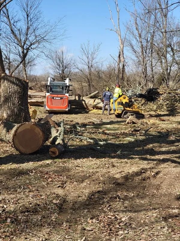 Men using machinery to clear fallen trees in a wooded area. An orange skid steer and wood chipper are present.