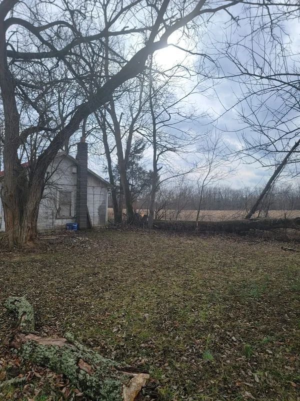 Old, weathered house with a tall chimney, trees, and a field under a cloudy sky.