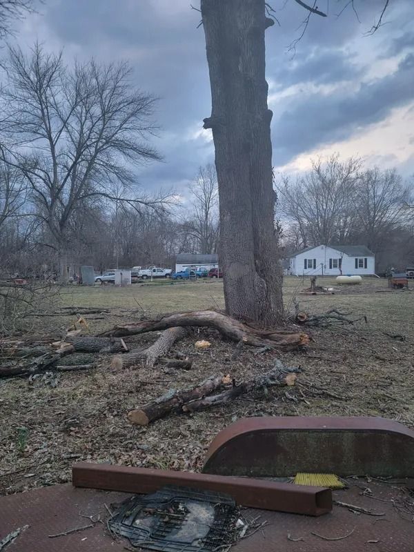 Large tree trunk with fallen branches in a yard; a house is in the background. Overcast sky.