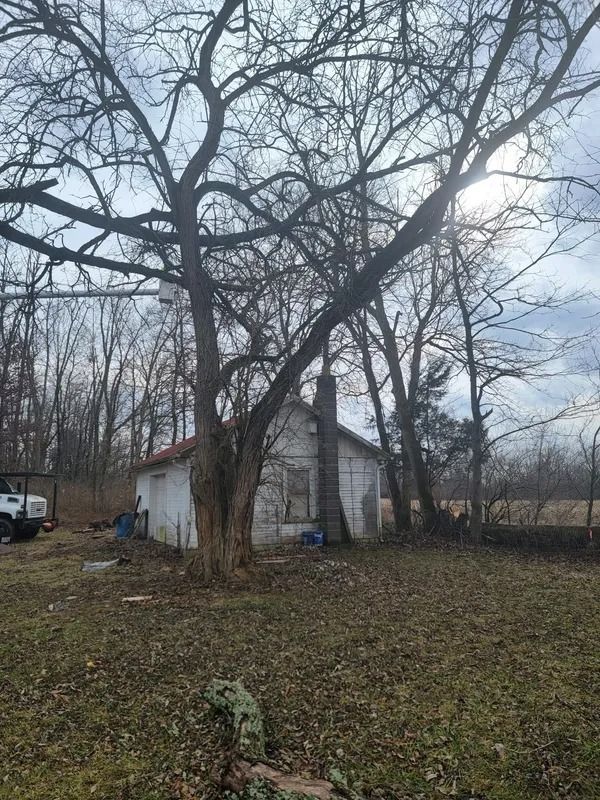 Small white house with a chimney, behind a large tree on a cloudy day.