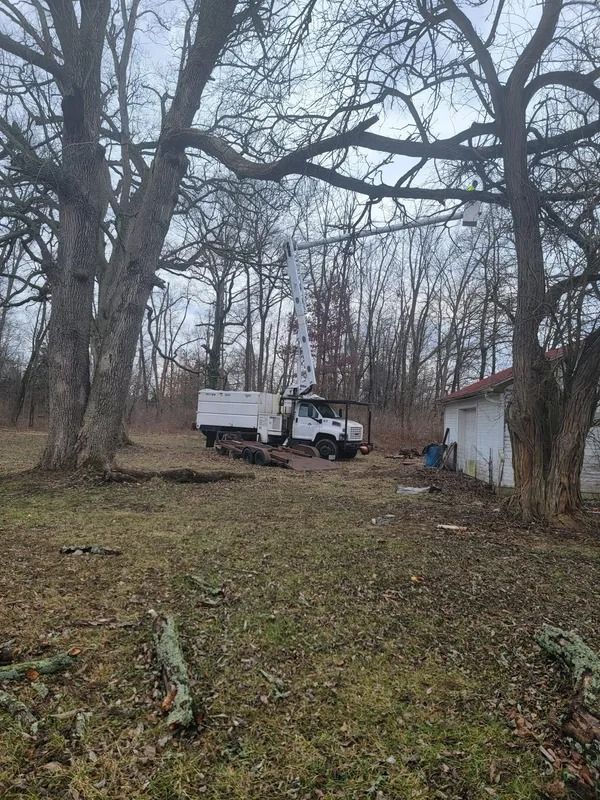 Truck with lift in a wooded area, trimming trees near a small building.