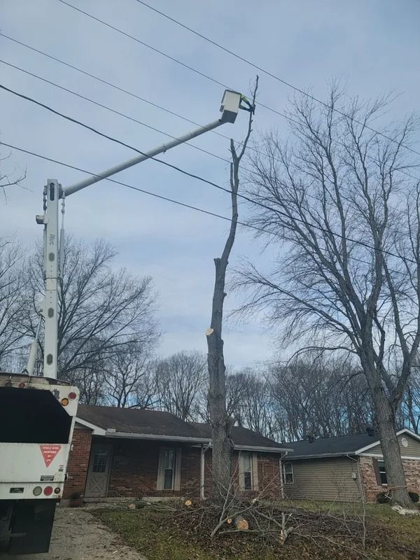 Tree trimming near power lines, using a bucket truck near a house.