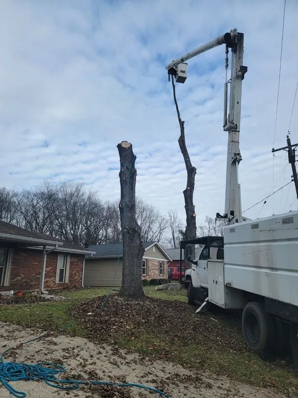 Tree service truck with aerial lift trimming a tree in a residential area.