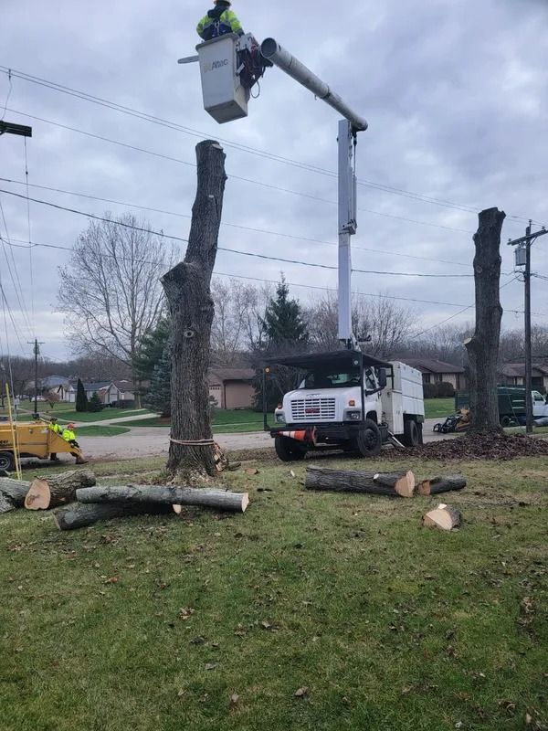 A tree service worker in a lift truck trims a tree near power lines. Logs are on the ground.