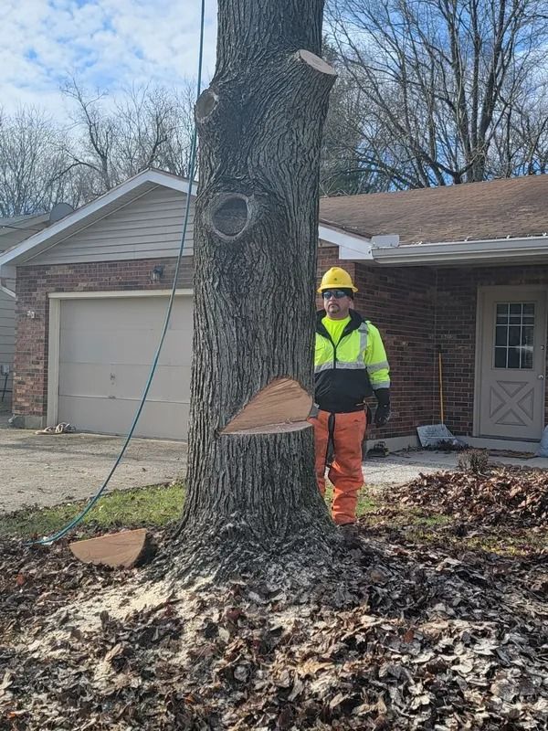 Arborist in safety gear cutting a tree in front of a house on a sunny day.