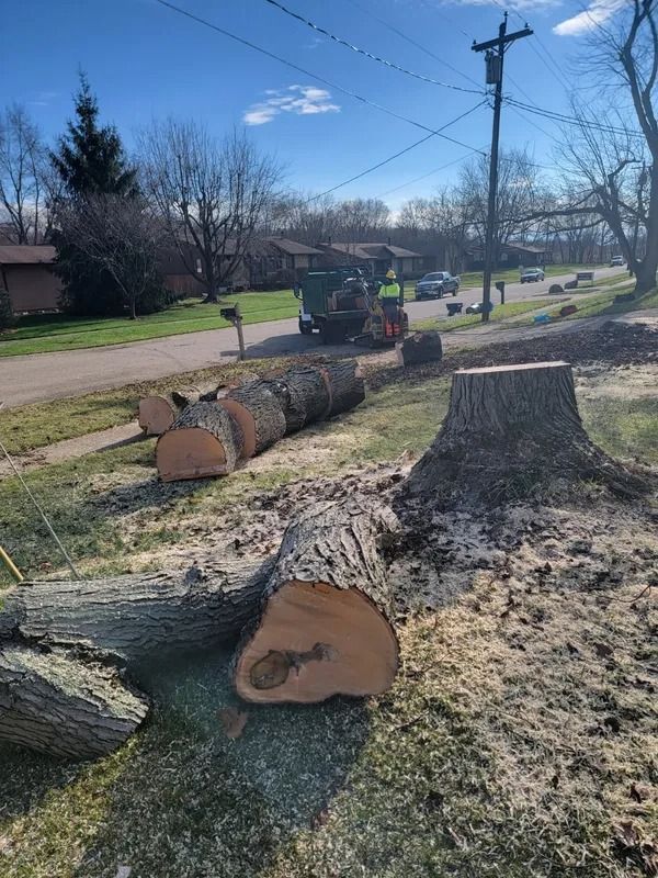 Tree logs and a stump lie on a grassy lawn; a small machine is in the background.