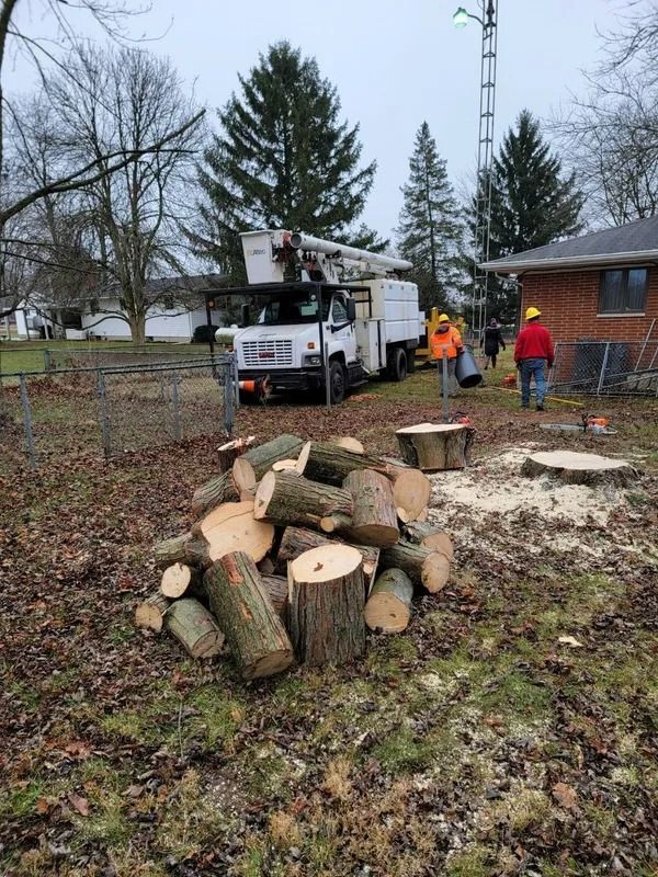 Tree removal: Workers near a bucket truck, tree logs piled on the ground next to a cut tree stump. Overcast day.