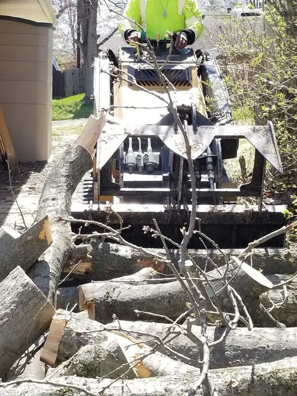 A person operates a skid steer with tree shear, cutting logs in an outdoor setting.