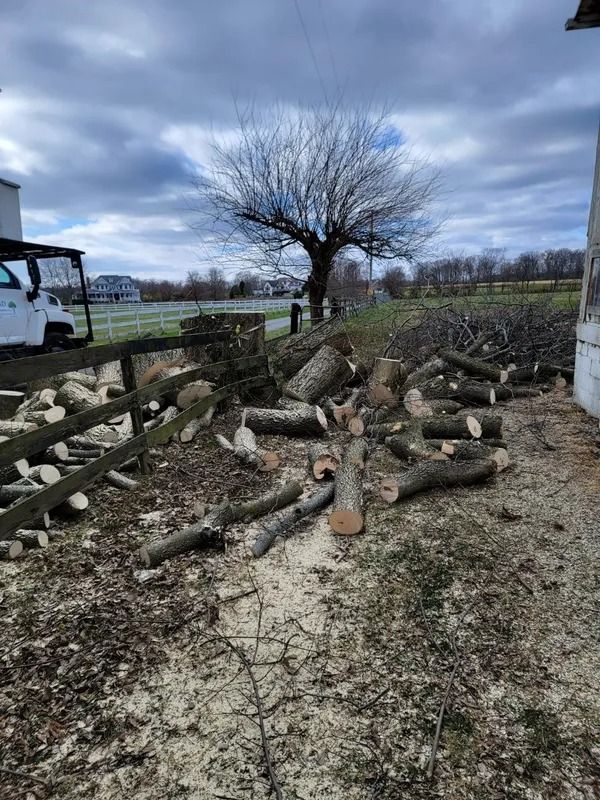 Logs and branches scattered near a building and a tree, under a cloudy sky.