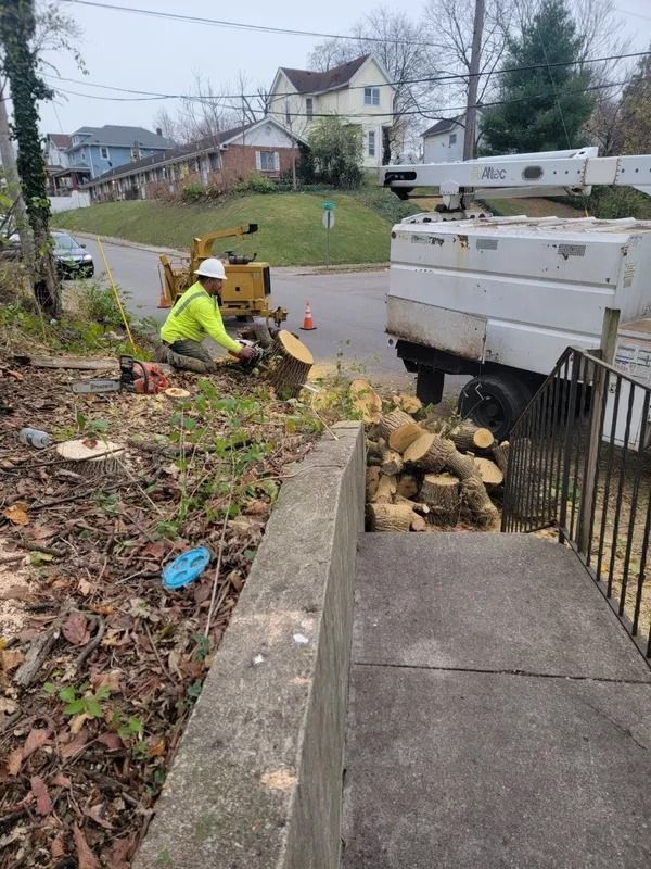 Person operating stump grinder beside steps; tree debris and truck on street.