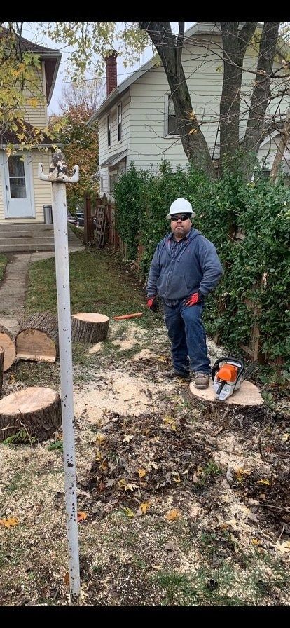 A person in a hard hat stands with a chainsaw on a tree stump in a yard with cut tree logs nearby.