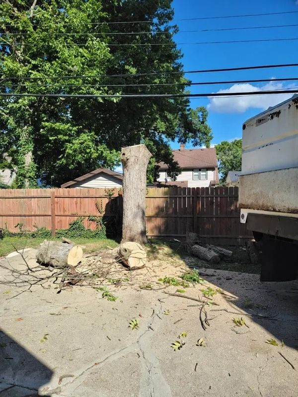A tree stump and logs in a backyard. A partially cut tree is in front of a wooden fence.