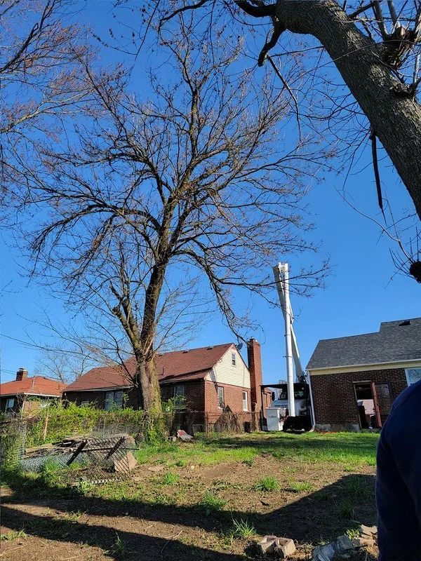 Bare tree and mobile lift near houses under blue sky.