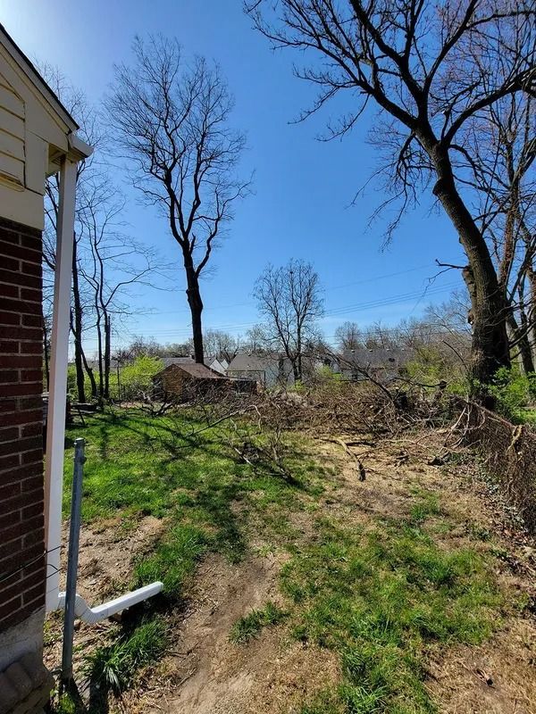 Backyard scene with trees, clear blue sky, and a brick house. Partially cleared land with green grass and brush.