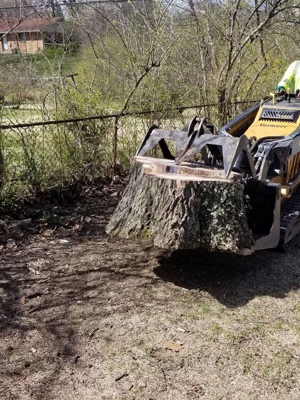 Stump grinder removing a large tree stump in a yard, with a fence and trees in the background.
