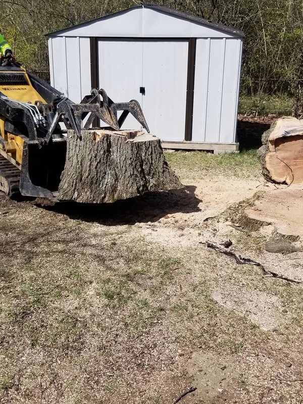 Skid steer holding a large tree stump in front of a white shed. Another stump sits on the ground nearby.