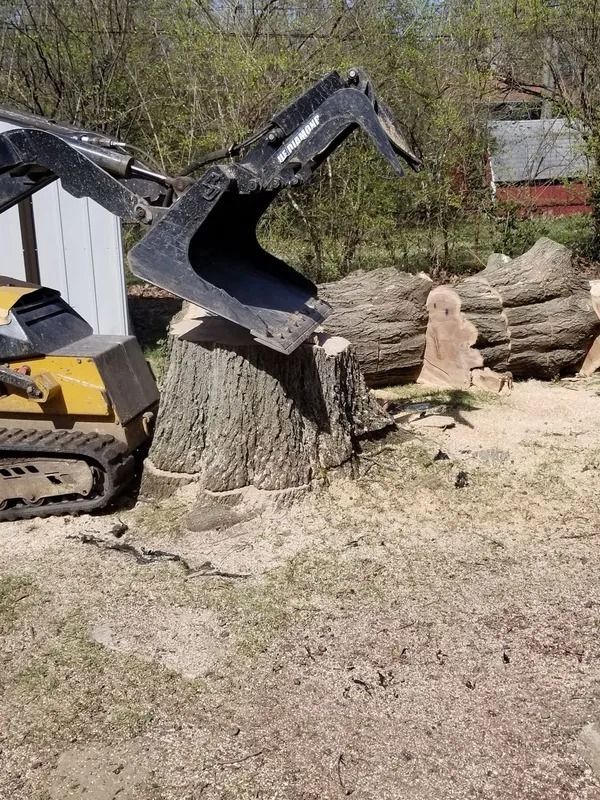 Excavator bucket over a tree stump; wood chips on the ground; logs in background.