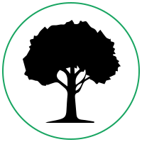 GAD-Tree-Experts--LLC