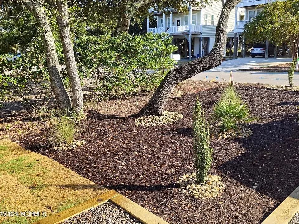 Landscaped yard with mulch, small shrubs, and curved trees beside a house and driveway