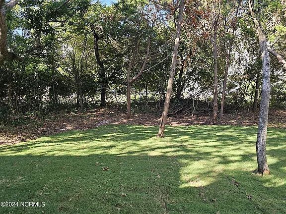 Grassy backyard bordered by dense trees and shrubs in dappled sunlight.