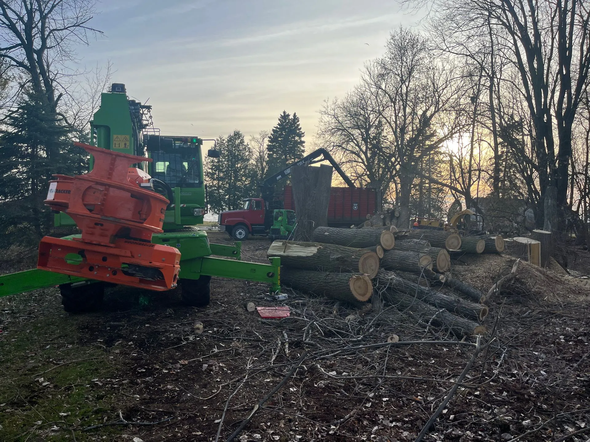 Green and orange forestry equipment chipping logs in a clearing with a pile of logs.
