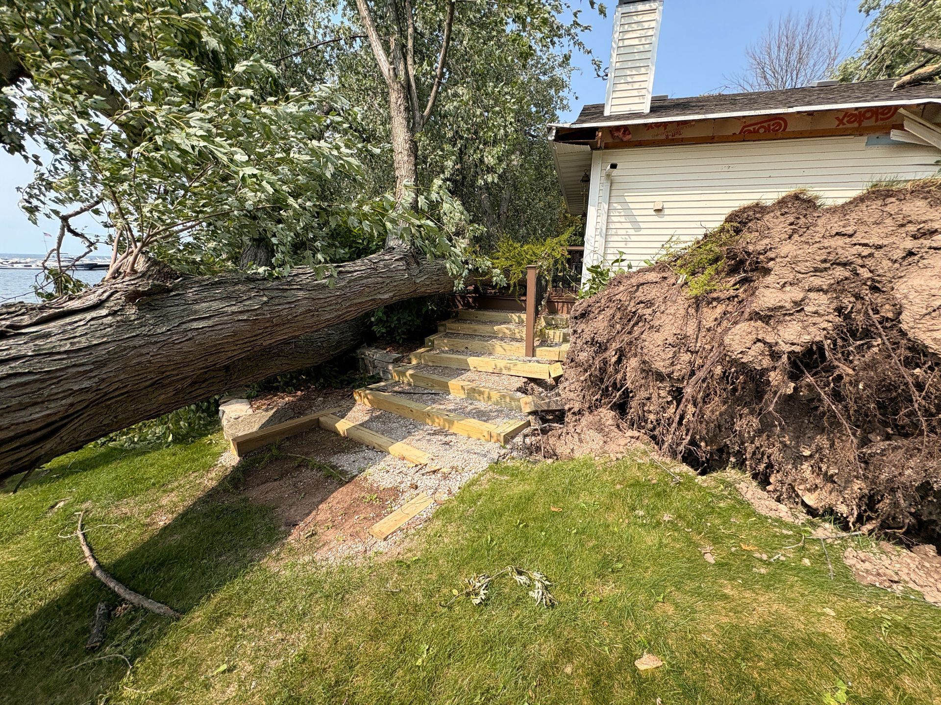 A fallen tree rests on a house and steps leading to the entrance, with a large root ball exposed.