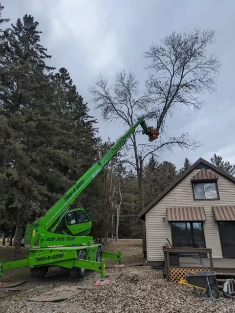 A green tree trimming machine is cutting branches from a tree next to a beige house on a cloudy day.