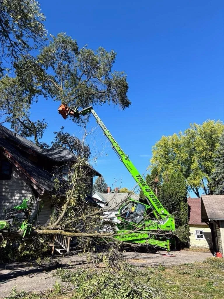 Green tree service truck trimming tree near a house on a sunny day.