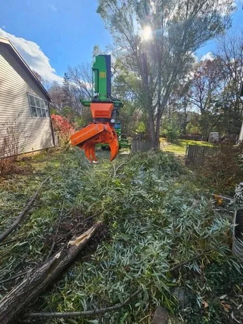 Orange and green tree shear cutting branches; debris on ground, sunlit sky, house in background.