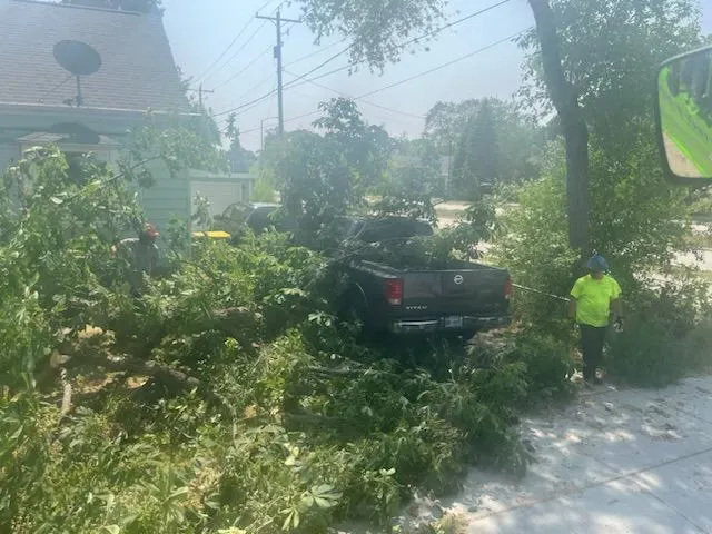 A pickup truck is surrounded by trimmed tree branches, two workers are present on a sunny day.
