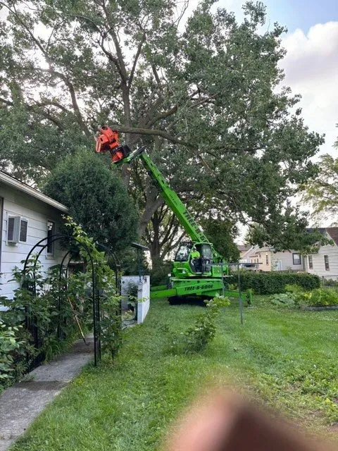 Green tree trimming machine cutting branches from a large tree in a residential yard.