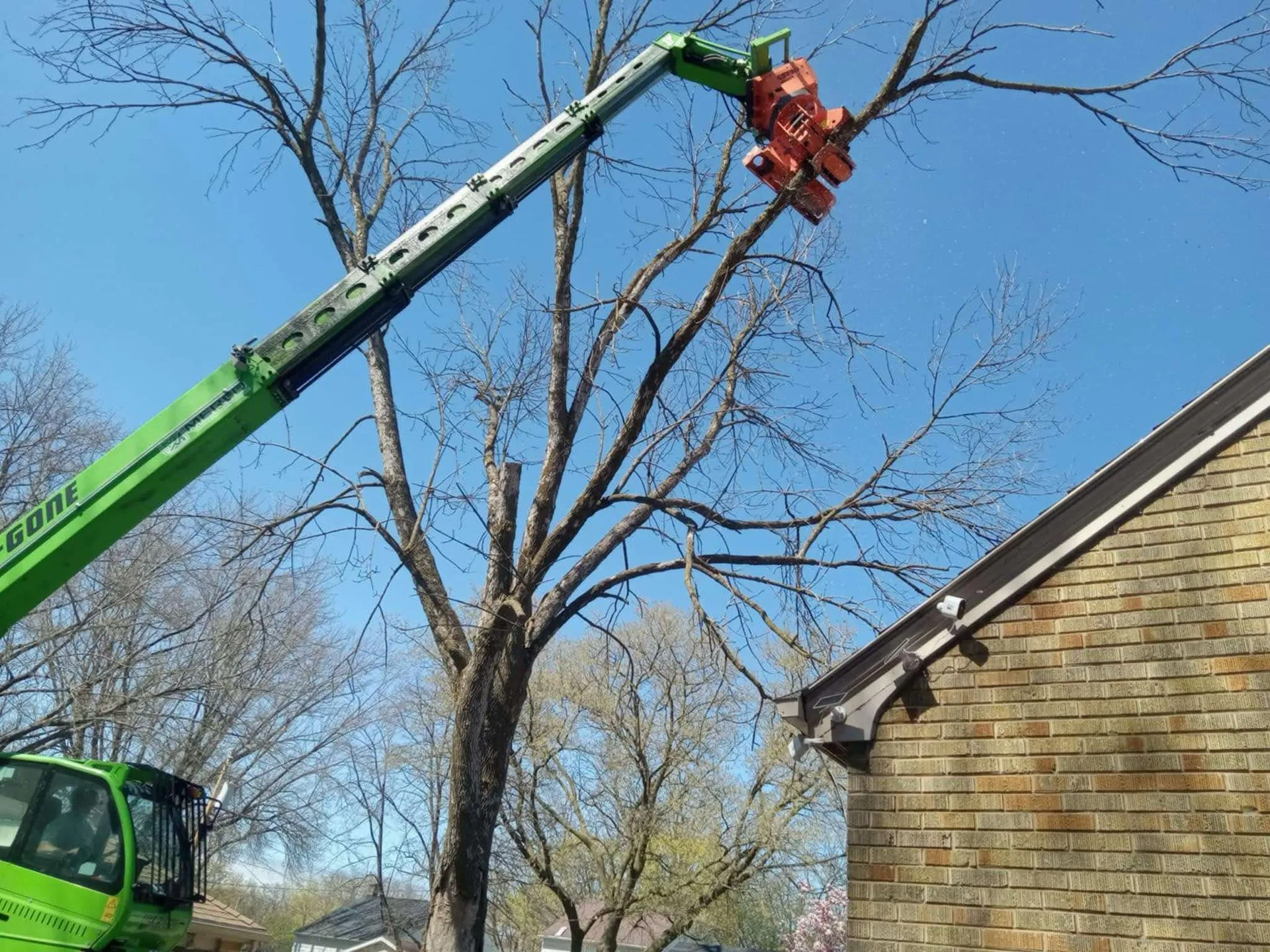 A cherry picker cutting branches from a bare tree near a brick building. Bright blue sky.
