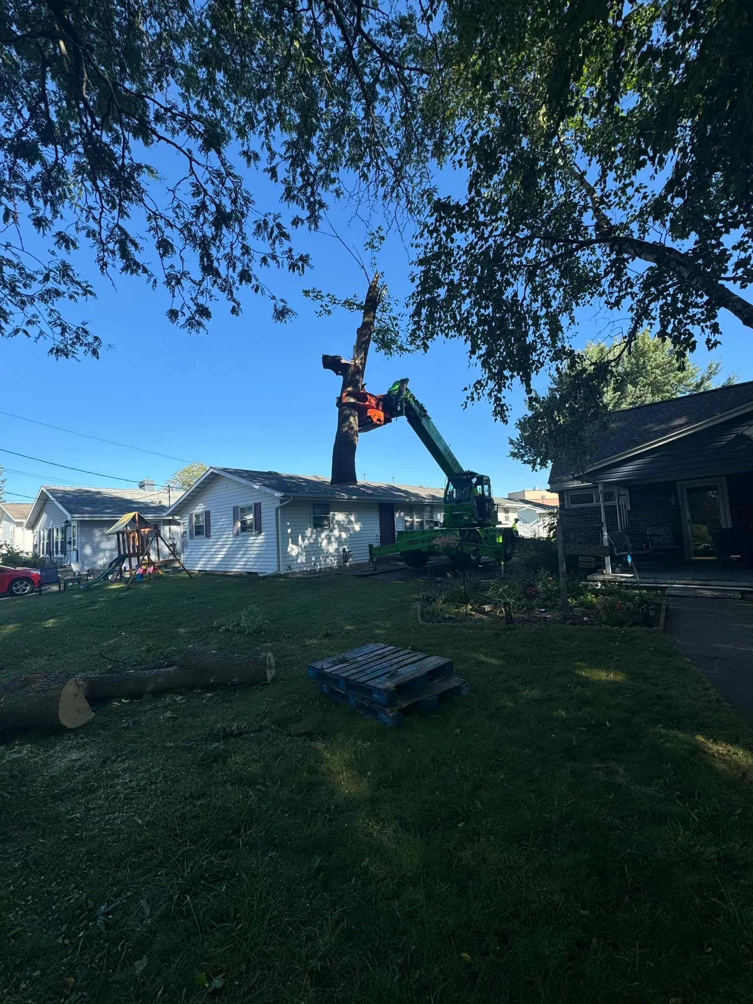Tree being cut down by an excavator near a white house with a blue sky in the background.