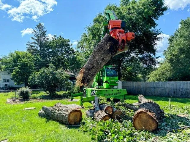 Green tree service machine lifting a tree trunk; cut logs and debris on a grassy lawn.
